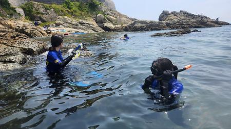 스노쿨링